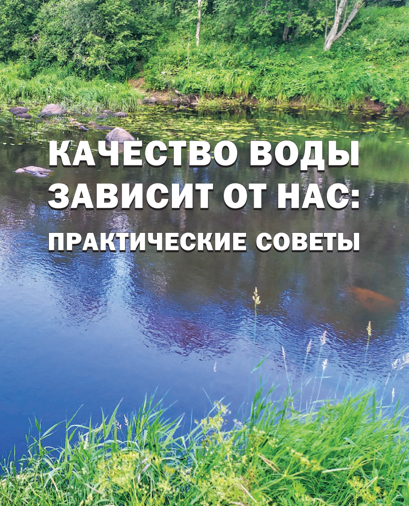 Качество воды:от чего зависит качество воды. От чего зависит качество фото. Что зависит от воды. Родники с чистой водой в Ленинградской области.